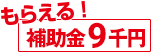 もらえる補助金9000円